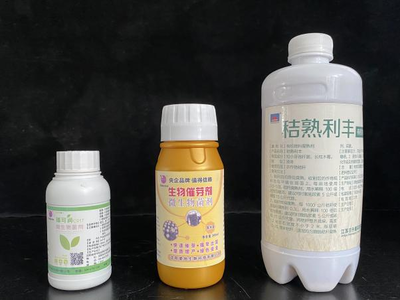 复合微生物菌剂的研发与应用 推动生物有机肥料发展新篇章