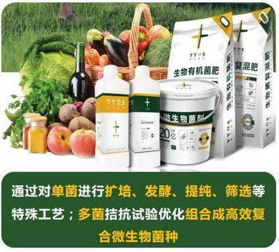 从辣椒加工到菌肥生产，她用五年抢占南方市场！_南方plus_南方+生物有机肥料研发