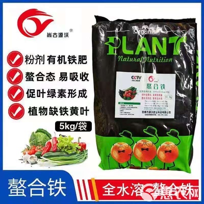 螯合铁与复合微生物肥料 黄叶现象的绿色解决方案