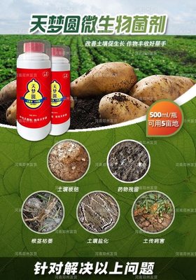 复合微生物菌剂在现代农业中的应用与研发前景——以沃丰施敢当与天梦圆为例