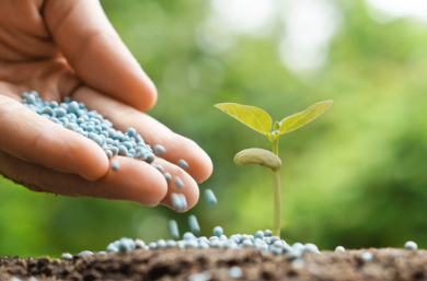 科技赋能绿色农业 山东中新农业发展的生物有机肥料研发探索